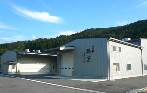 星野製茶園碾茶（てん茶）工場全景